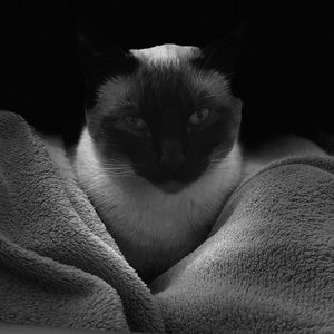 Meet your Posher, Denise